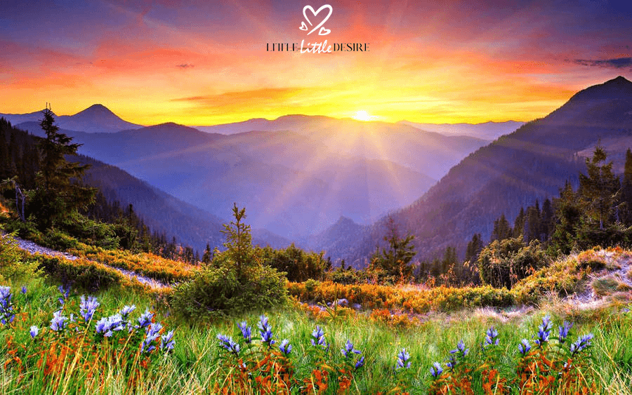 Rise And Shine Quotes