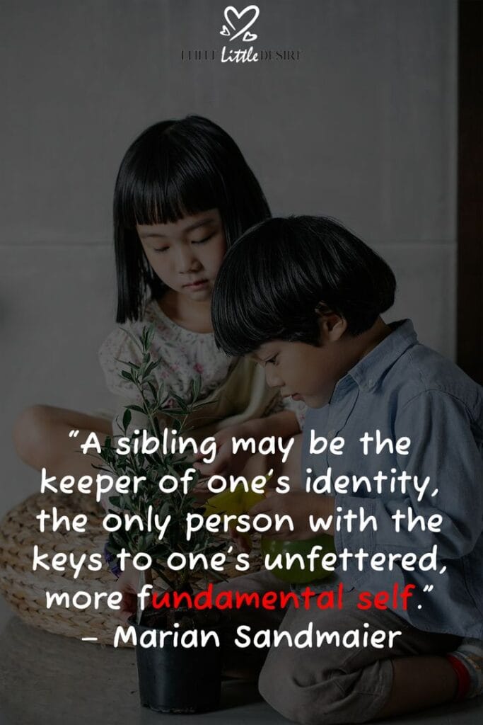 Heart Touching Emotional Brother and Sister Quotes