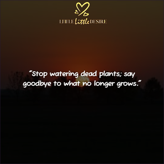 Final Goodbye Toxic Relationship Quotes