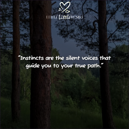 Trust Your Instincts Quotes