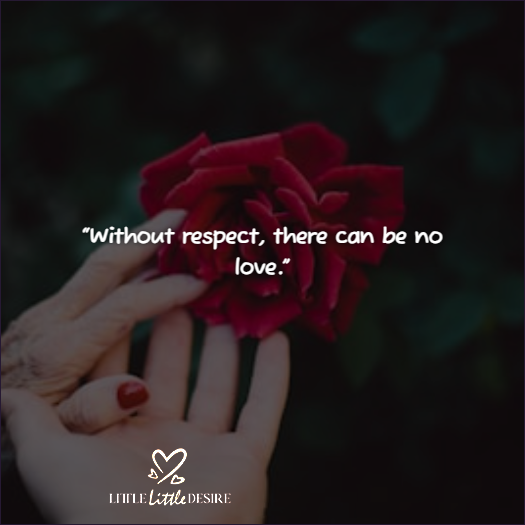 Relationship Respect Quotes