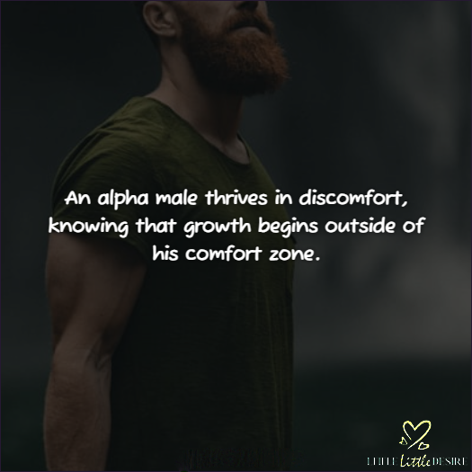 Alpha Male Quotes