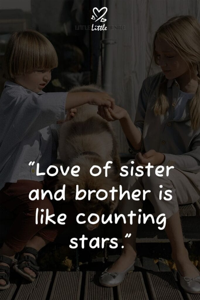 Heart Touching Emotional Brother and Sister Quotes