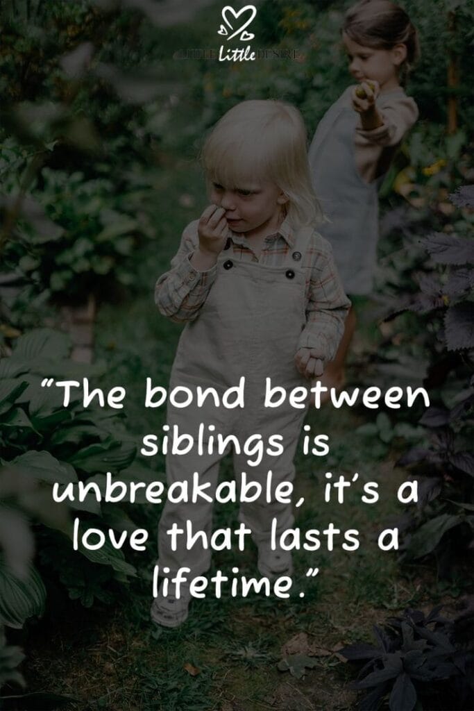 Heart Touching Emotional Brother and Sister Quotes