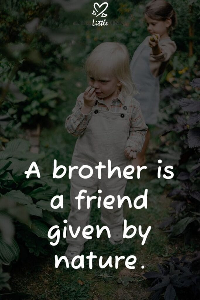 Heart Touching Emotional Brother and Sister Quotes