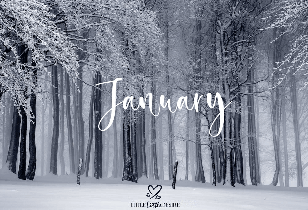 January New Month New Goals Quotes