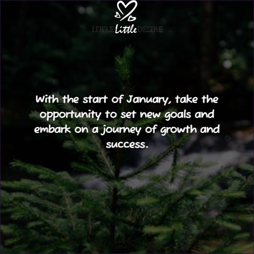 January New Month New Goals Quotes